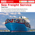 Морской фрахт/логистика доставки из Китая по всему миру